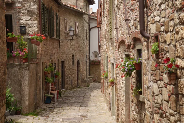 Montefioralle Ortaçağ Köyü Chianti Firenze Ili Toskana Talya Stok Resim
