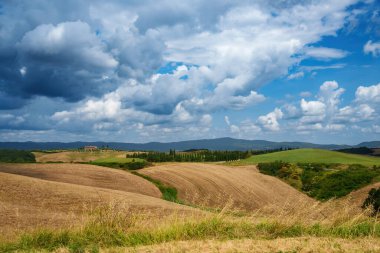 Yazın Val d Orcia, Siena, Toskana 'da kırsal alan.