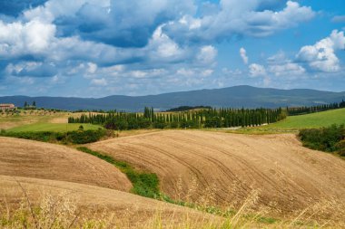 Yazın Val d Orcia, Siena, Toskana 'da kırsal alan.