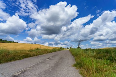 Yazın Val d Orcia, Siena, Toskana 'da kırsal alan.