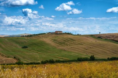 Yazın Val d Orcia, Siena, Toskana 'da kırsal alan.