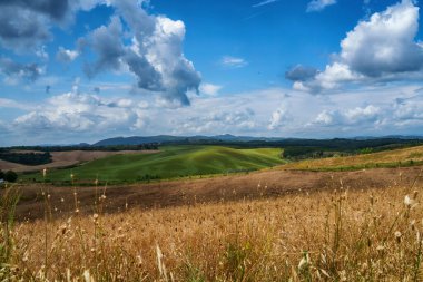 Yazın Val d Orcia, Siena, Toskana 'da kırsal alan.