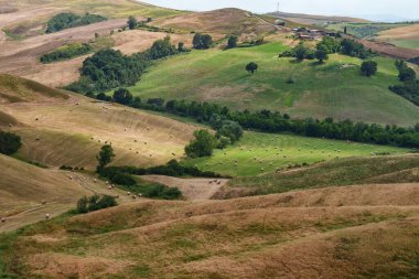 Yazın Val d Orcia, Siena, Toskana 'da kırsal alan.