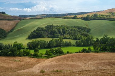 Yazın Val d Orcia, Siena, Toskana 'da kırsal alan.