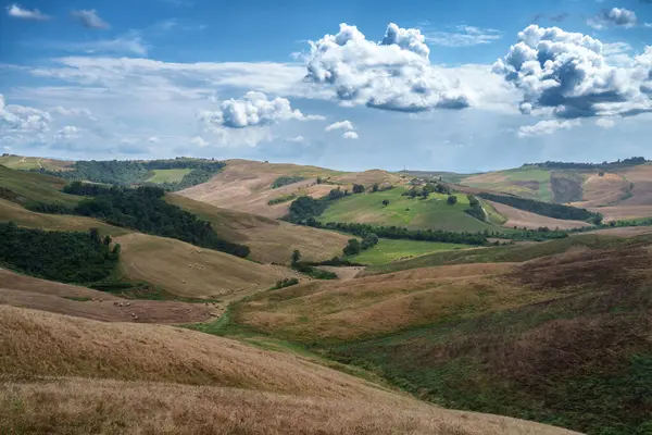 Yazın Val d Orcia, Siena, Toskana 'da kırsal alan.