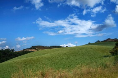 Yazın Val d Orcia, Siena, Toskana 'da kırsal alan.