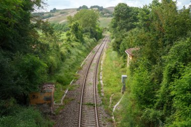 Yazın Val d Orcia, Siena, Toskana 'da kırsal alan.