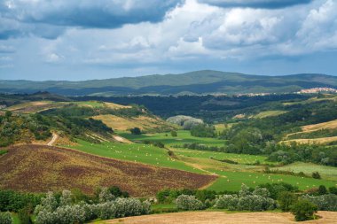 Yazın Val d Orcia, Siena, Toskana 'da kırsal alan.