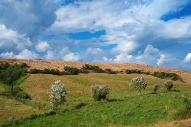 Yazın Val d Orcia, Siena, Toskana 'da kırsal alan.