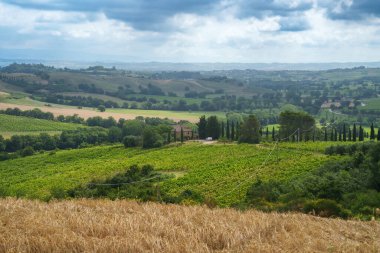 Yazın Toskana, İtalya 'da Torrita di Siena yakınlarında kırsal alan