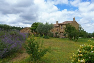 Tuscany 'deki kırsal alan Pienza, Siena vilayeti, Toskana, İtalya