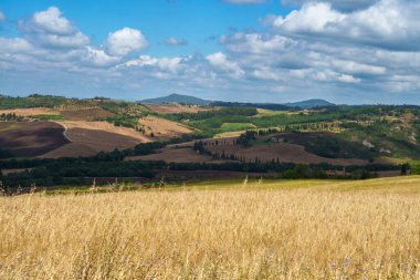 Tuscany 'deki kırsal alan Pienza, Siena vilayeti, Toskana, İtalya