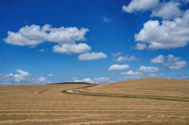 Tuscany 'deki kırsal alan Pienza, Siena vilayeti, Toskana, İtalya