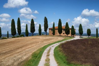 Tuscany 'deki kırsal alan Pienza, Siena vilayeti, Toskana, İtalya