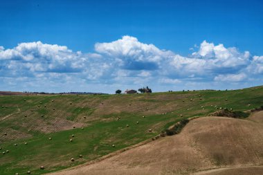 Tuscany 'deki kırsal alan Pienza, Siena vilayeti, Toskana, İtalya