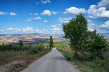 San Quirico d Orcia yakınlarındaki Toskana kırsalında Siena, Tuscany, İtalya