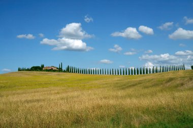 San Quirico d Orcia yakınlarındaki Toskana kırsalında Siena, Tuscany, İtalya