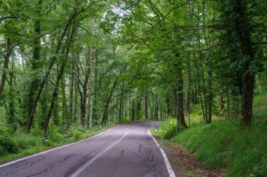 Sorano yolu, Grosseto ili, Toskana, İtalya, yaz aylarında