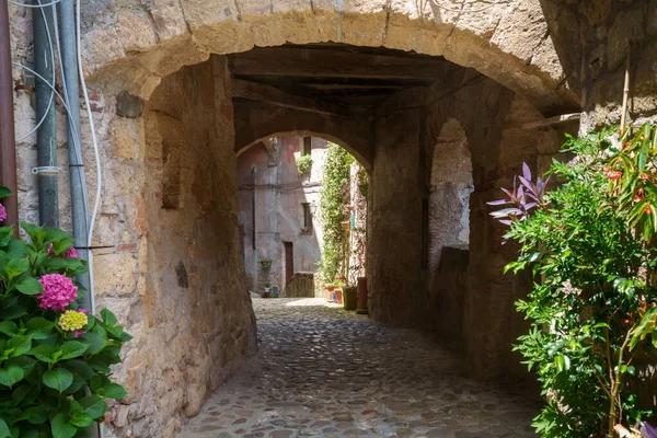 Sorano Historic Town Grosseto Province Tuscany Italy Stock Photo