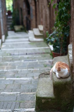 Pitigliano, İtalya 'nın Toskana eyaletinde tarihi bir kasaba.