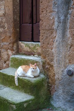 Pitigliano, İtalya 'nın Toskana eyaletinde tarihi bir kasaba.