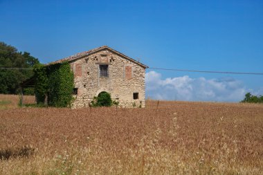 Yaz mevsiminde İtalya 'nın Terni eyaletinin Casteltodino kenti yakınlarındaki Umbria kentindeki kırsal alan.