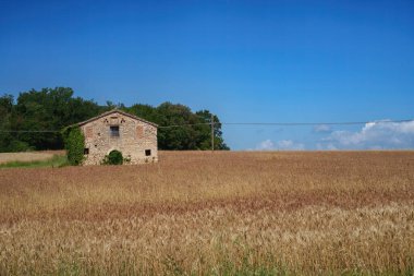Yaz mevsiminde İtalya 'nın Terni eyaletinin Casteltodino kenti yakınlarındaki Umbria kentindeki kırsal alan.