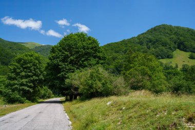 Yaz mevsiminde Sella di Leonessa, Terminillo, Rieti, Lazio, İtalya yolundaki dağ manzarası