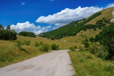 Yaz aylarında Abruzzo, İtalya 'nın L Aquila ilindeki İl Amiternina boyunca dağ manzarası