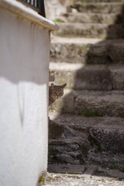 Rocca di Mezzo, İtalya, Abruzzo, Aquila eyaletinin eski bir kasabası.