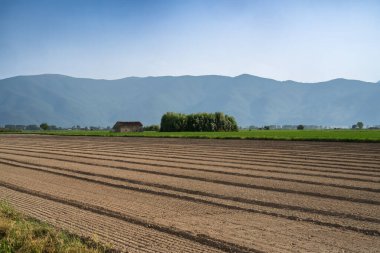 Fucino, L Aquila, İtalya 'nın Abruzzo eyaletinde yaz mevsiminde kırsal alan