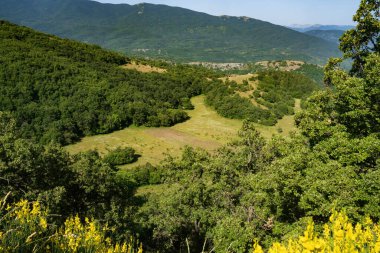 Yaz aylarında Abruzzo Ulusal Parkı 'nda dağ manzarası