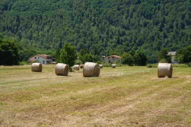 Matese Dağı manzarası, Caserta ili, Campania, İtalya, yaz aylarında