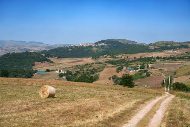 Yazın Potenza, Basilicata, İtalya yakınlarındaki kır manzarası