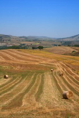 Matera ili, Basilicata, İtalya 'da Tricarico ve Grottole yakınlarındaki kır manzarası