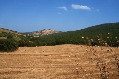 Tricarico ve San Chirico yakınlarındaki bölge, Potenza ili, Basilicata, İtalya