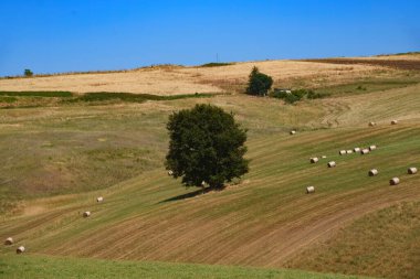 Tricarico ve San Chirico yakınlarındaki bölge, Potenza ili, Basilicata, İtalya