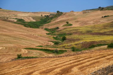 Rocchetta Sant Antonio yakınlarındaki kır manzarası, Foggia ili, Apulia, İtalya