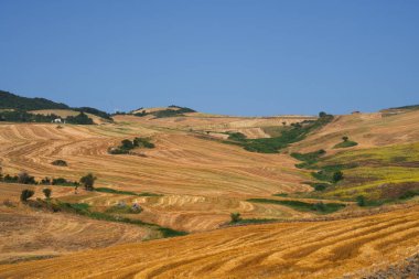 Rocchetta Sant Antonio yakınlarındaki kır manzarası, Foggia ili, Apulia, İtalya