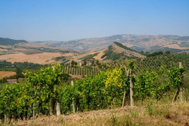 Yazın Gambatesa ve Jelsi yakınlarındaki kır manzarası, Campobasso ili, Molise, İtalya