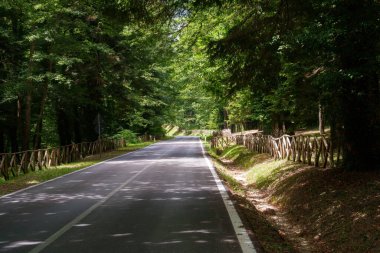 Pescolanciano, Isernia 'ya giden yol, İtalya Molise' de, yazın.