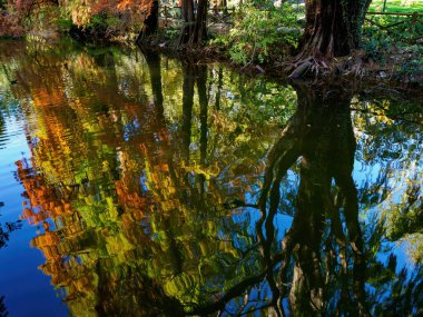 Autumn in the Montanelli park at Milan, Lombardy, Italy