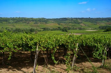 Yazın İtalya 'nın Abruzzo eyaletinin Chieti ilindeki Lanciano yakınlarındaki kır manzarası.
