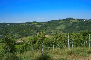 Yazın Orsogna ve Bucchianico yakınlarındaki kır manzarası, Chieti ili, Abruzzo, İtalya