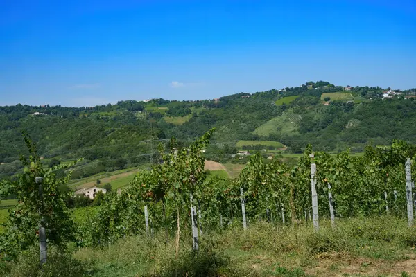 Yazın Orsogna ve Bucchianico yakınlarındaki kır manzarası, Chieti ili, Abruzzo, İtalya