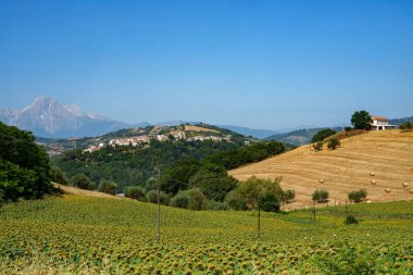 Yazın Penne 'den Teramo, Abruzzo, İtalya' ya giden yol boyunca kır manzarası