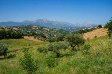 Yazın Penne 'den Teramo, Abruzzo, İtalya' ya giden yol boyunca kır manzarası