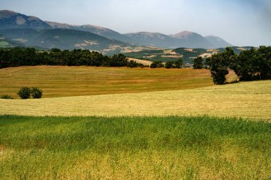 Yazın Fiastra yakınlarındaki kırsal alan, Macerata ili, Marche, İtalya