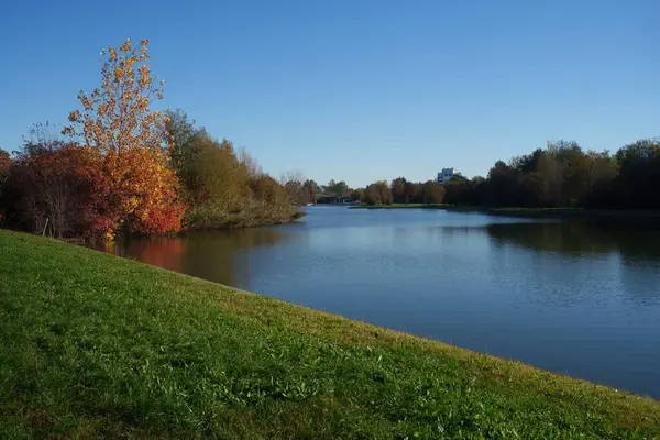 Parco Nord, Milan, Lombardy, İtalya 'da Sonbahar