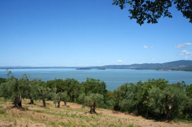 Torricella ve Monte del Lago yakınlarındaki Trasimeno Gölü, Perugia, Umbria, İtalya